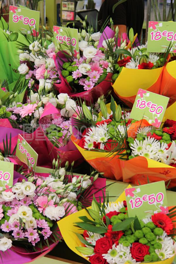 法國(guó)花卉市場(chǎng) 花束與禮品花卉的繽紛世界與銷售洞察